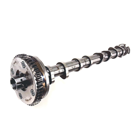 VW/Audi Inlet Camshaft 06L 109 021 H